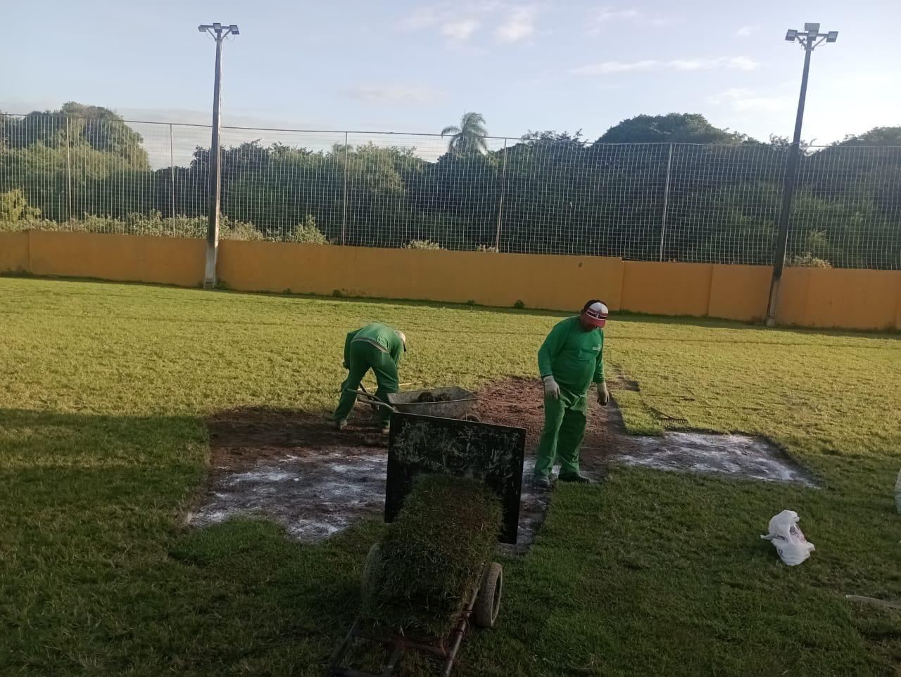 Colocação das placas de grama no campo de futebol