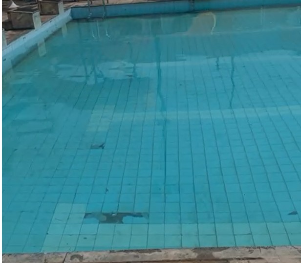 Piscina antes da reforma — revestimento sujo e manchado